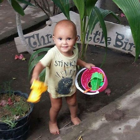Three Little Birds Homestay Τζίλι Τραγουανγκάν Εξωτερικό φωτογραφία