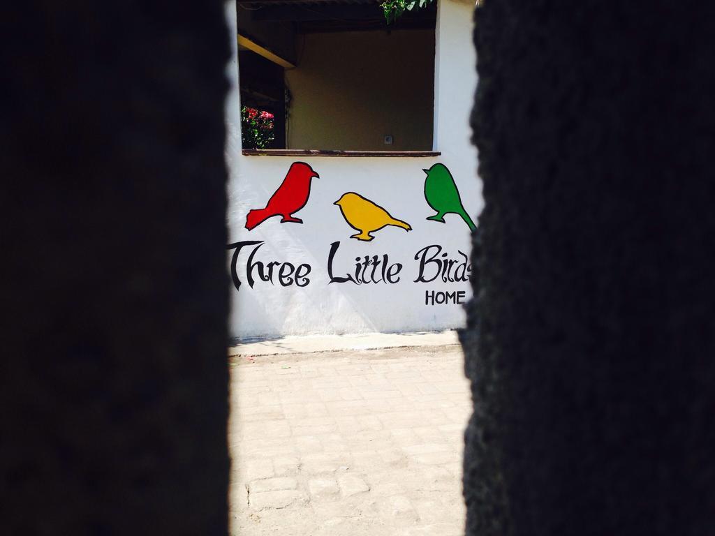 Three Little Birds Homestay Τζίλι Τραγουανγκάν Εξωτερικό φωτογραφία