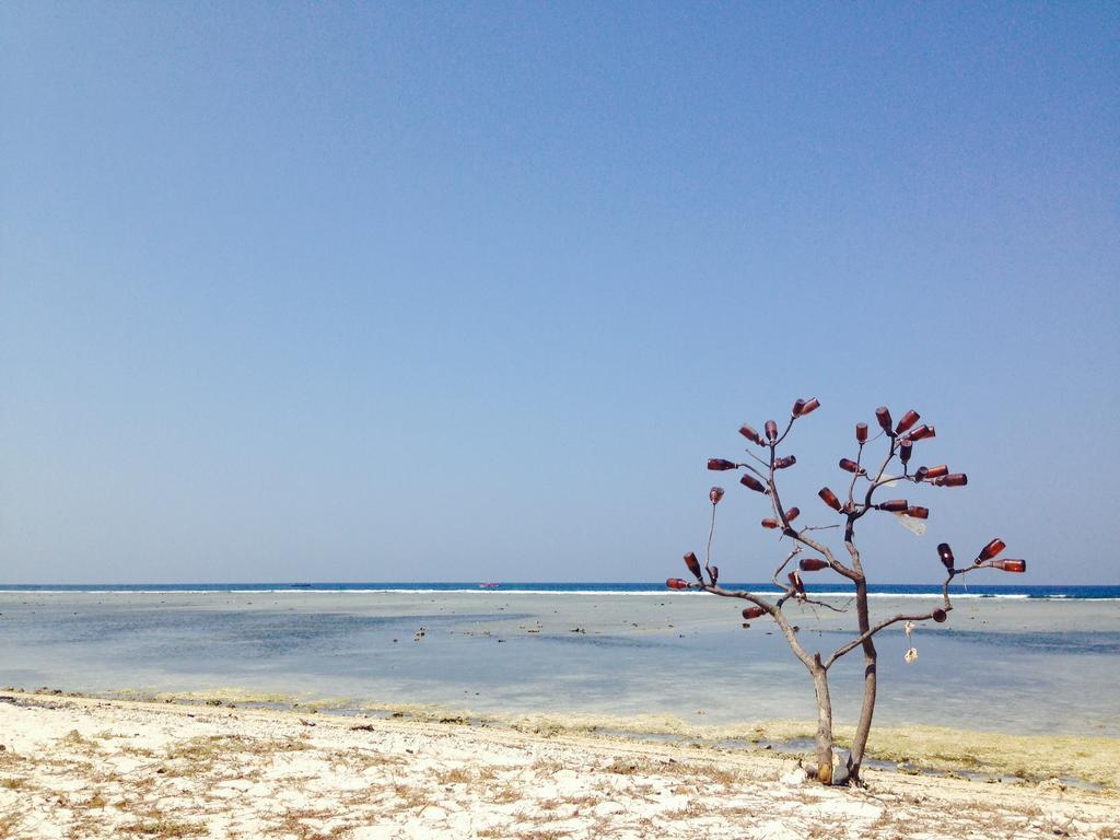 Three Little Birds Homestay Τζίλι Τραγουανγκάν Εξωτερικό φωτογραφία