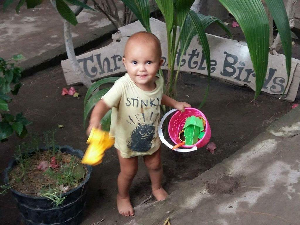 Three Little Birds Homestay Τζίλι Τραγουανγκάν Εξωτερικό φωτογραφία